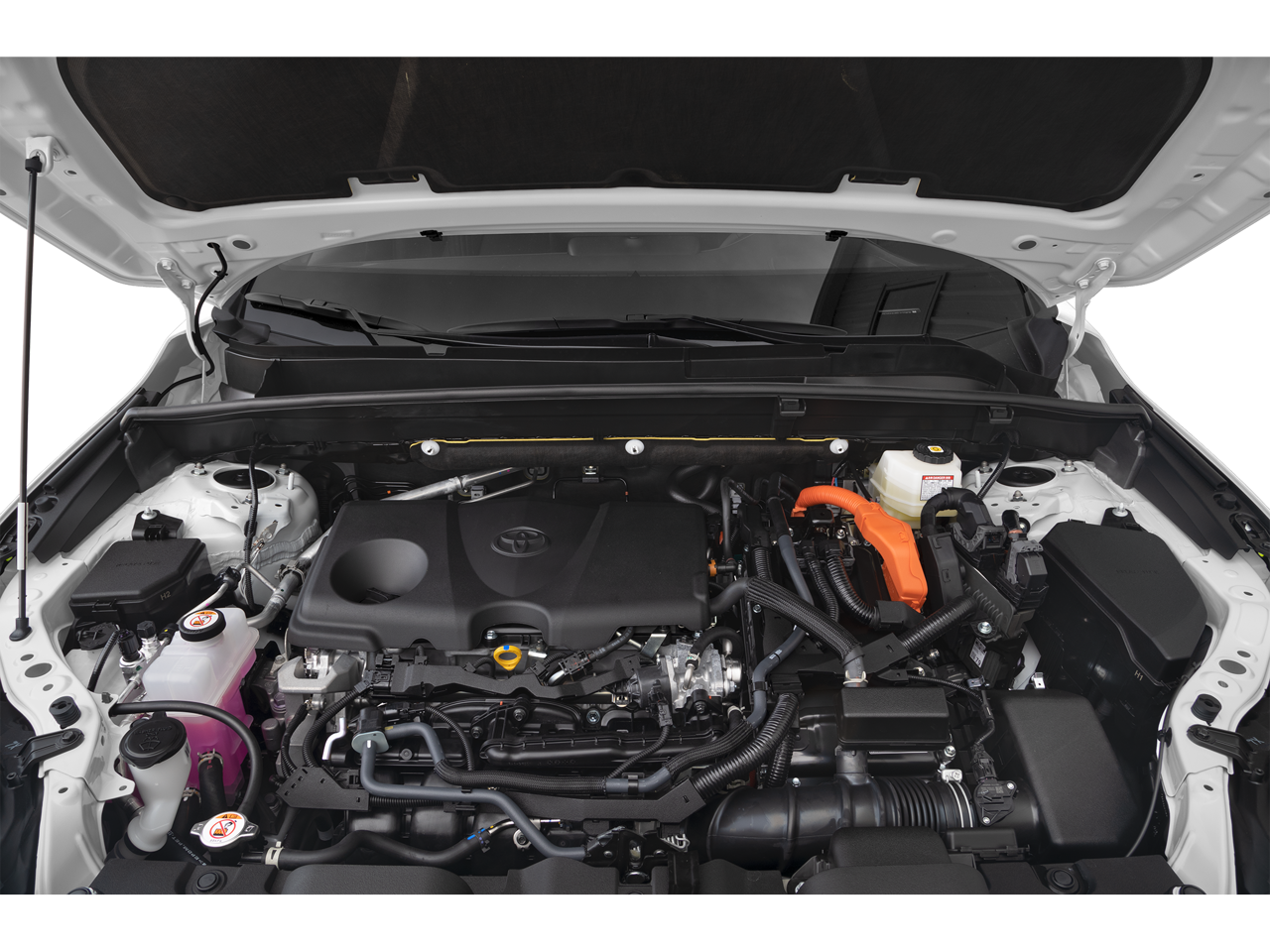 2024 Toyota Venza Limited photo 3