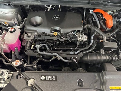 2025 Toyota Sienna XLE 7 Passenger