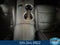 2024 Ford Mustang GT Premium 5.0 Liter 8 2D Coupe Automatic