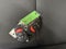 2022 Jeep Wrangler Unlimited Sahara 2.0 Liter 4D Automatic 4WD