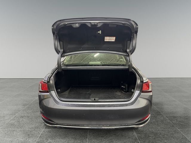 2019 Lexus ES 300h 300h Luxury 2.5 Liter FWD