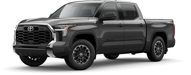 2022 Toyota Tundra SR5 in Magnetic Gray Metallic | Toyota of Grand Rapids in Grand Rapids MI